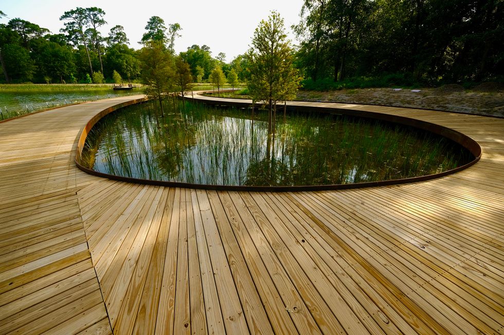 webBoardwalk Walking Path over Hines Lake and wetlands in Clay Family Eastern Glades; Image Courtesy of Memorial Park Conservancy